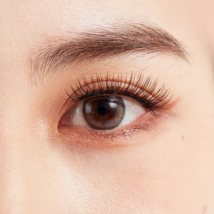 MAGNETIC LASH KIT