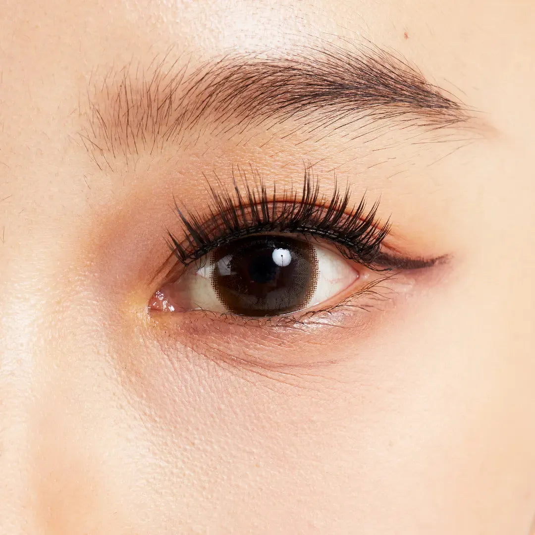 MAGNETIC LASH KIT
