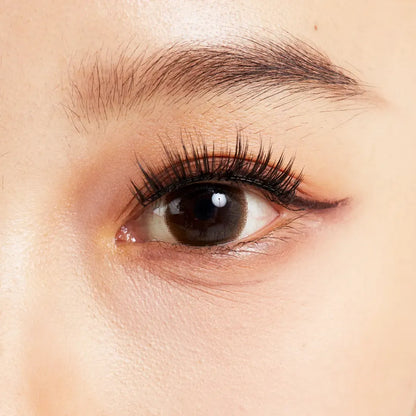 MAGNETIC LASH KIT