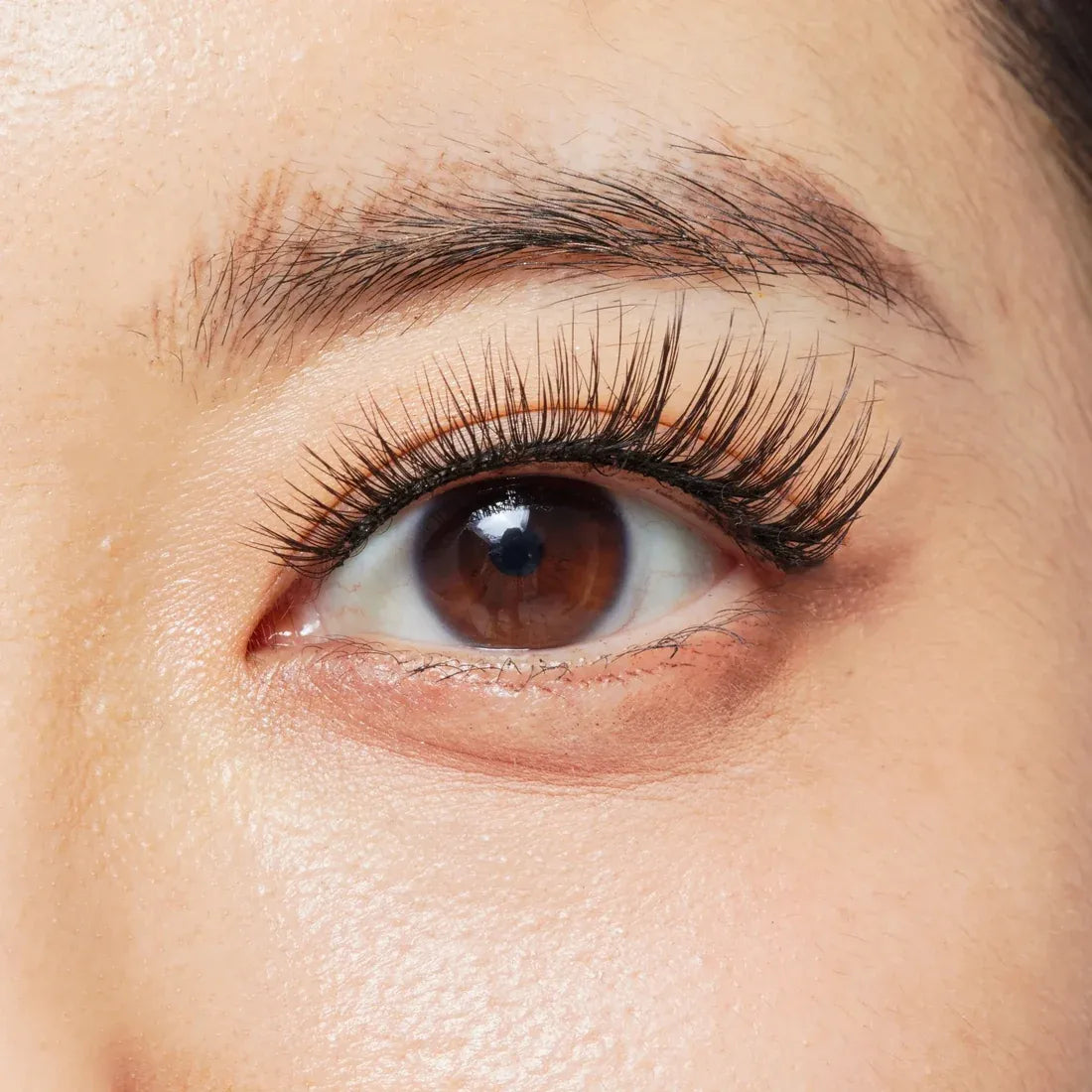 MAGNETIC LASH KIT